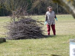 Baumschnittaktion  2010 07
